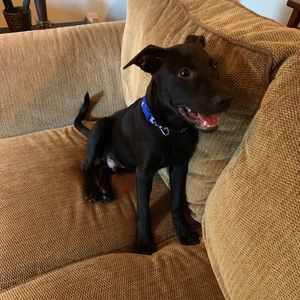 Meet your Posher, Maria